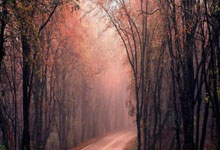 亚博体育- Faker官方宣布出色防守新规，日本队引发争议！再创辉煌时刻